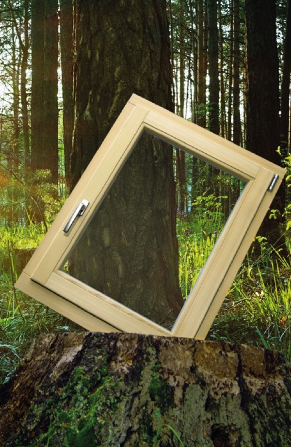 KATZBECK Fenstermagazin Holzfenster im Wald